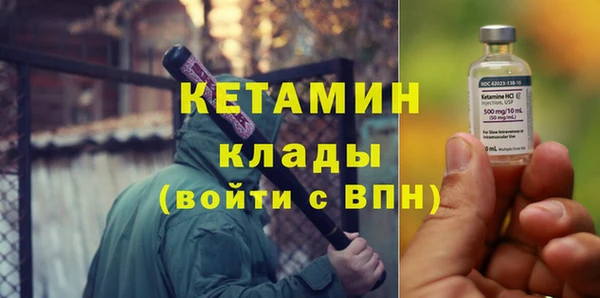 твердый Бородино
