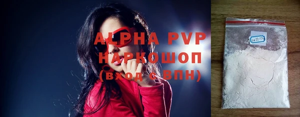 твердый Бородино