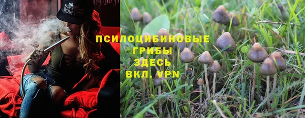 стаф Верхний Тагил
