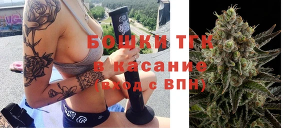 твердый Бородино