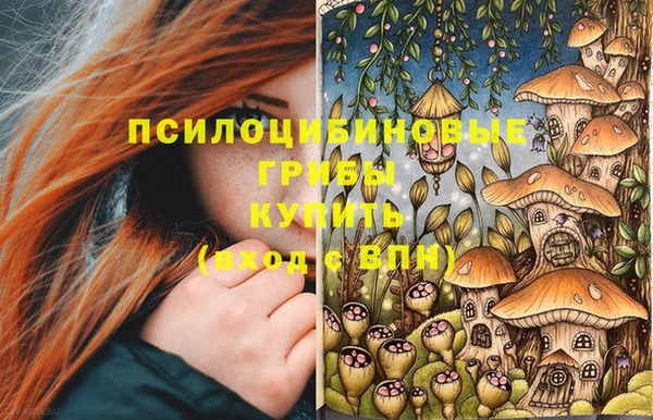 твердый Бородино