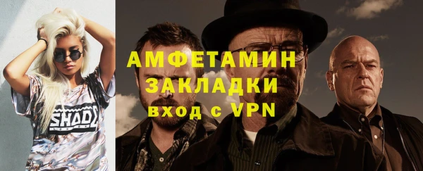 твердый Бородино