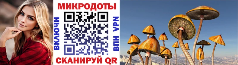 Галлюциногенные грибы мицелий Десногорск